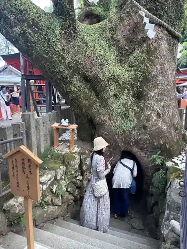 熊野那智大社(和歌山県)