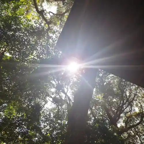 沼尾神社の自然