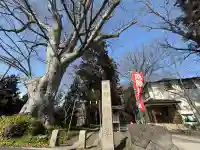 清池八幡神社の{uncategorized: "未分類", other: "その他", undefined: "問題あり", building: "その他建物", grave: "お墓", sacred_gate: "鳥居", guardian: "狛犬", statue: "像", buddha: "仏像", history: "歴史", nature: "自然", garden: "庭園", animal: "動物", pagoda: "塔", temizu: "手水舎", mountain_gate: "山門・神門", sanctuary: "本殿・本堂", subordinate: "末社・摂社", art: "芸術", scenery: "景色", jizo: "地蔵", ema: "絵馬", goshuin: "御朱印", omikuji: "おみくじ", items: "授与品その他", amulet: "お守り", goshuincho: "御朱印帳", eats: "食事", festival: "お祭り", votive_dance: "神楽", shichigosan: "七五三参", wedding: "結婚式", experience: "体験その他", initially: "初詣", around: "周辺", anti_infection: "感染症対策"}