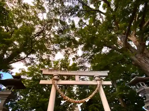 白鳥神社の鳥居