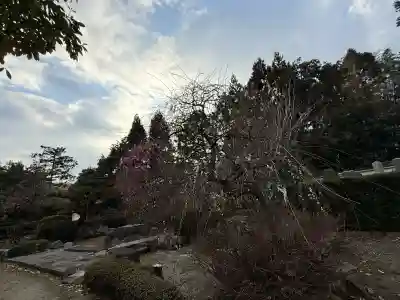 石光寺の{uncategorized: "未分類", other: "その他", undefined: "問題あり", building: "その他建物", grave: "お墓", sacred_gate: "鳥居", guardian: "狛犬", statue: "像", buddha: "仏像", history: "歴史", nature: "自然", garden: "庭園", animal: "動物", pagoda: "塔", temizu: "手水舎", mountain_gate: "山門・神門", sanctuary: "本殿・本堂", subordinate: "末社・摂社", art: "芸術", scenery: "景色", jizo: "地蔵", ema: "絵馬", goshuin: "御朱印", omikuji: "おみくじ", items: "授与品その他", amulet: "お守り", goshuincho: "御朱印帳", eats: "食事", festival: "お祭り", votive_dance: "神楽", shichigosan: "七五三参", wedding: "結婚式", experience: "体験その他", initially: "初詣", around: "周辺", anti_infection: "感染症対策"}