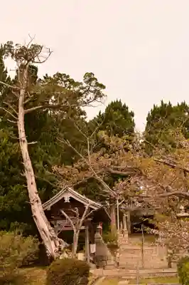 鹿島神社(香川県)