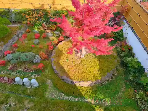 寿量山　速成寺(奈良県)