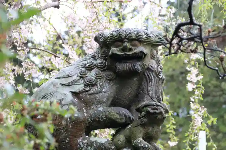 豊景神社の狛犬