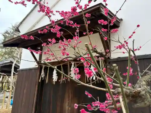 水火天満宮の{uncategorized: "未分類", other: "その他", undefined: "問題あり", building: "その他建物", grave: "お墓", sacred_gate: "鳥居", guardian: "狛犬", statue: "像", buddha: "仏像", history: "歴史", nature: "自然", garden: "庭園", animal: "動物", pagoda: "塔", temizu: "手水舎", mountain_gate: "山門・神門", sanctuary: "本殿・本堂", subordinate: "末社・摂社", art: "芸術", scenery: "景色", jizo: "地蔵", ema: "絵馬", goshuin: "御朱印", omikuji: "おみくじ", items: "授与品その他", amulet: "お守り", goshuincho: "御朱印帳", eats: "食事", festival: "お祭り", votive_dance: "神楽", shichigosan: "七五三参", wedding: "結婚式", experience: "体験その他", initially: "初詣", around: "周辺", anti_infection: "感染症対策"}