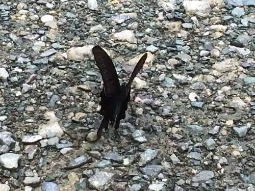 弘照院(福岡県)