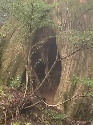 玉置神社(奈良県)