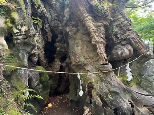 來宮神社(静岡県)