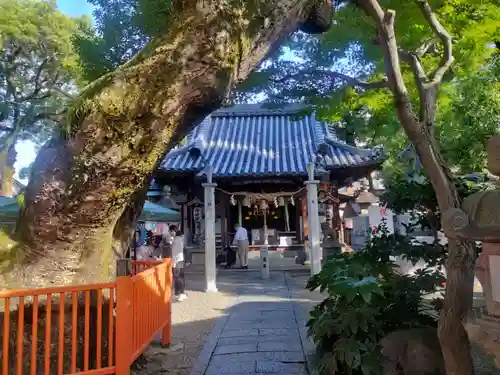 八坂神社(大阪府)
