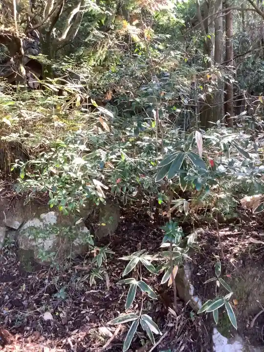 玉野町のお堂の周辺