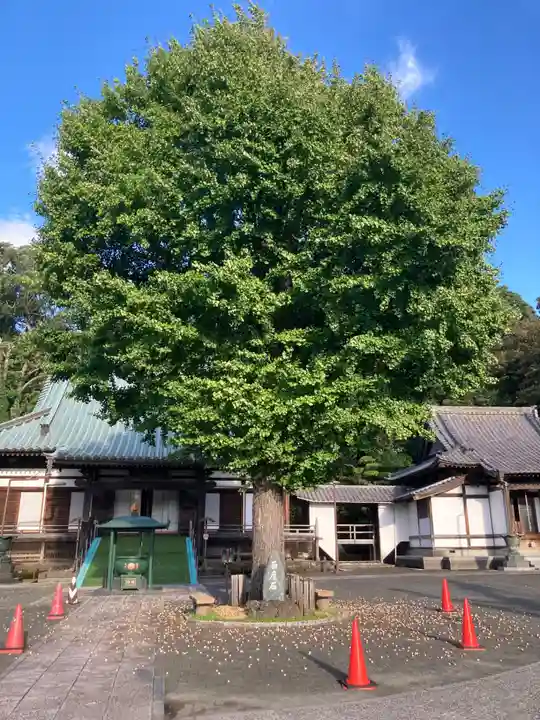 大明寺(神奈川県)