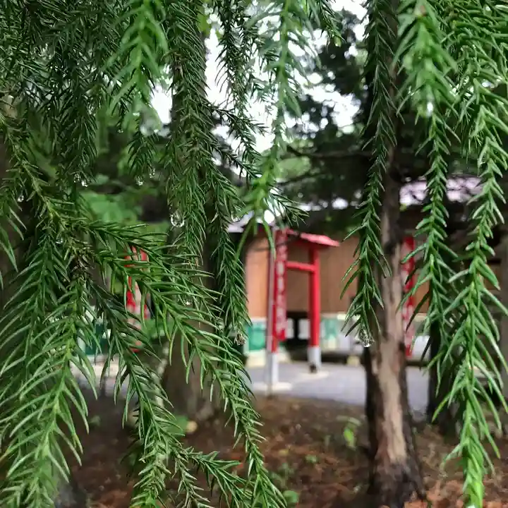 高司神社〜むすびの神の鎮まる社〜の自然