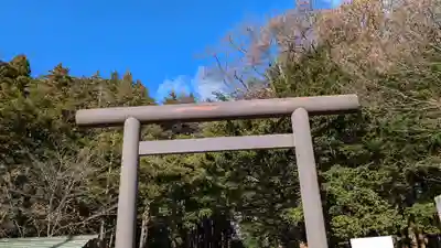 北海道神宮の鳥居