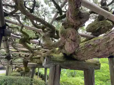 善峯寺(京都府)