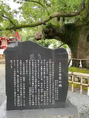 風浪宮(福岡県)