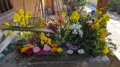 勝林寺(京都府)