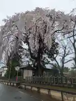 長宮神社(茨城県)