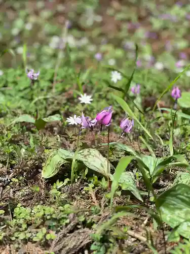 白河神社(福島県)