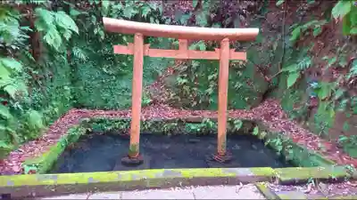香取神宮の鳥居