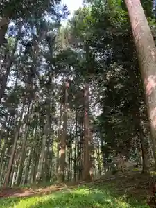 大宮温泉神社(栃木県)(2023年06月28日(水) 08時10分35秒投稿)