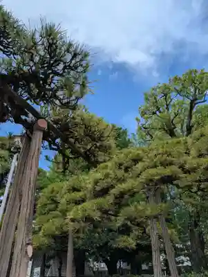 題経寺(柴又帝釈天)(東京都)