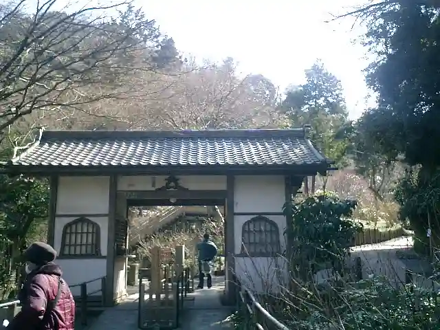 明月院の山門・神門