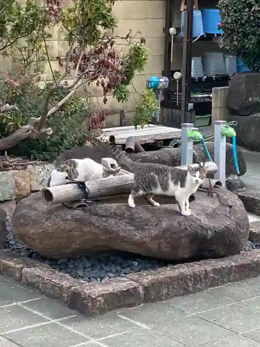 荘厳浄土寺の手水