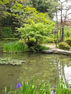 平安神宮(京都府)