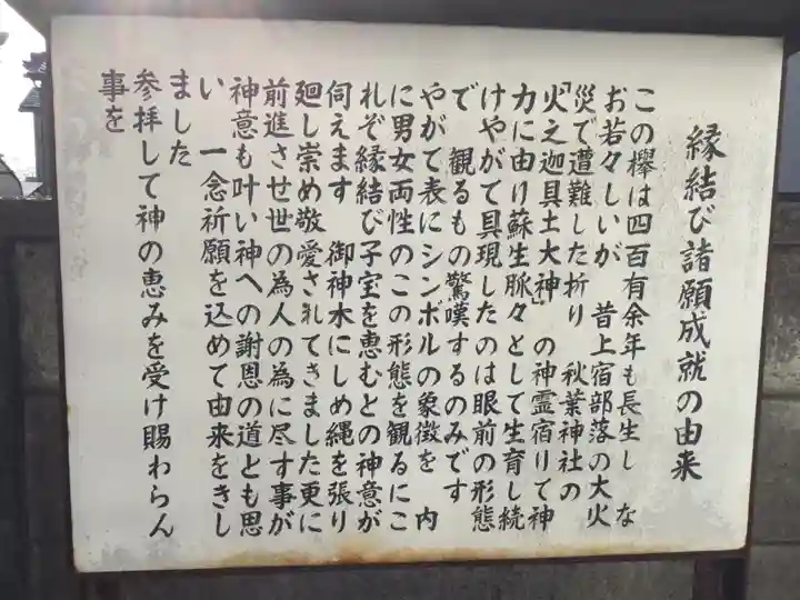 秋葉神社(東京都)