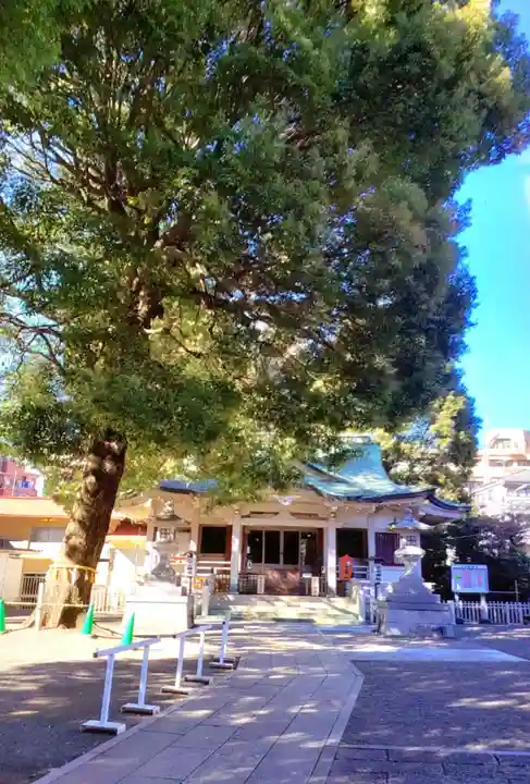 荻窪白山神社(東京都)