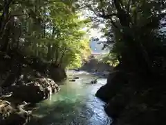 頭之宮四方神社の自然