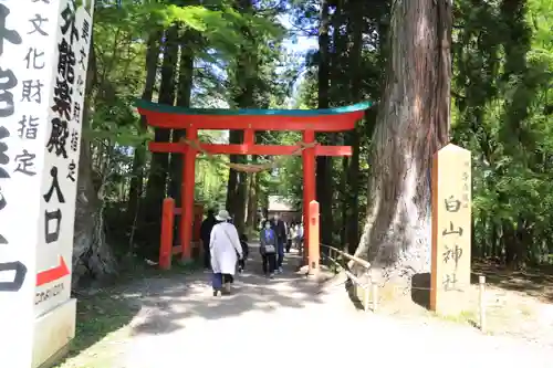 白山神社の鳥居