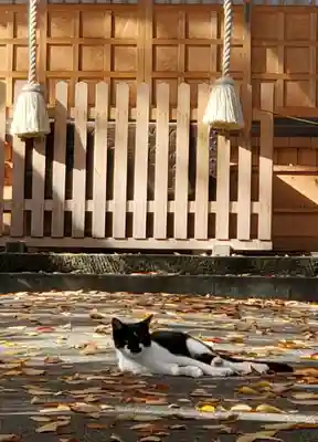 愛宕神社(福島県)