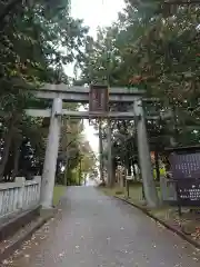 冨士御室浅間神社の鳥居