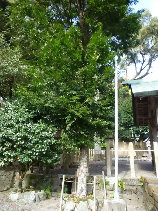 賀多神社(三重県)