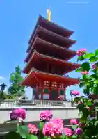 高幡不動尊 金剛寺のその他建物