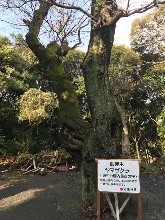 埴生神社(福岡県)