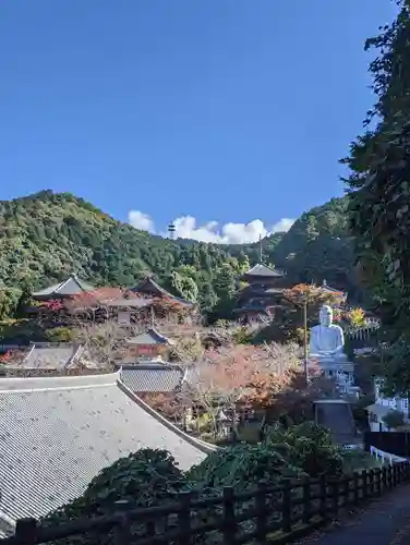南法華寺（壷阪寺）(奈良県)