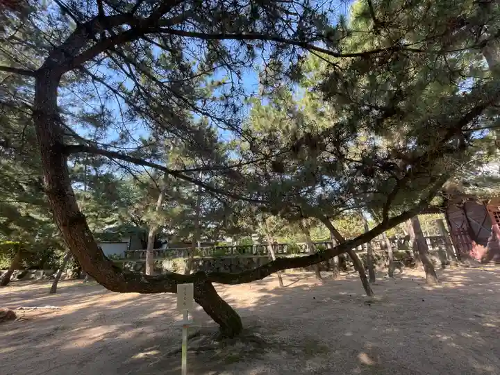 石清水神社(香川県)
