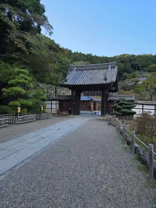 長谷寺(奈良県)