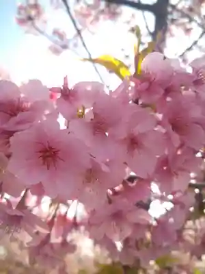 大己貴神社の自然
