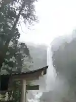 飛瀧神社(熊野那智大社別宮)の自然