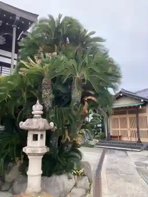 真楽寺(神奈川県)