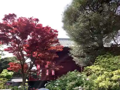 清水観音堂(東京都)