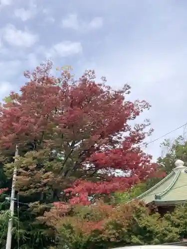 福島稲荷神社(福島県)
