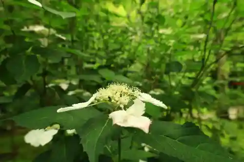 報国寺(神奈川県)
