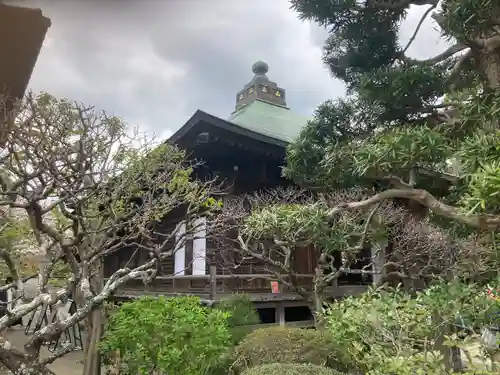 極楽寺（霊鷲山感應院極楽律寺）の本殿・本堂