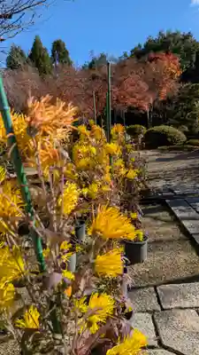 法金剛院(京都府)