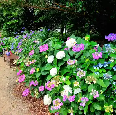 稲荷神社(愛知県)