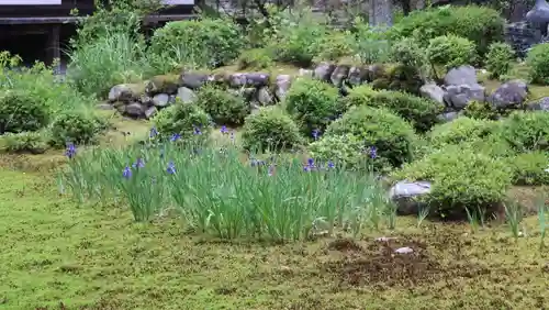 慈眼院(大阪府)
